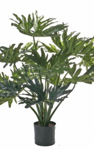 Kunst philo selloum plant 80 cm