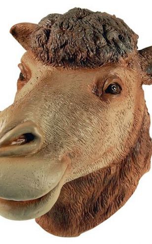 Kamelen masker voor volwassenen