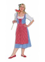 Tiroler jurk dames kostuum geblokt
