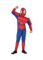 Spiderman kostuum voor jongens