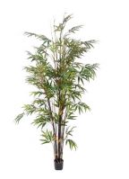 Tropische bamboe boom 190 cm