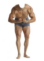 Stand in cut-out body builder